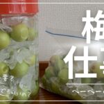 初心者奮闘記『それってNG？』と思ったけど大丈夫だった梅シロップの作り方